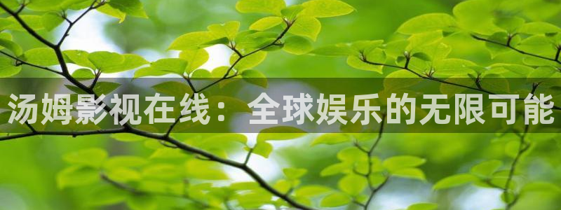 极速影院蜂鸟：汤姆影视在线：全球娱乐的无限可能