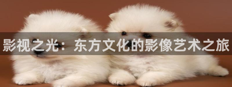 极速影院在线高清播放电视剧：影视之光：东方文化的影像艺术之旅