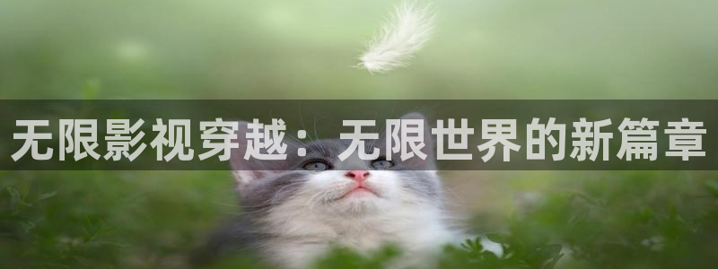 极速游戏下载：无限影视穿越：无限世界的新篇章