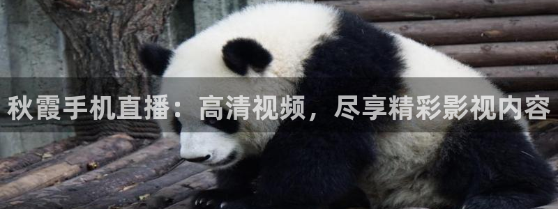 影视大全极速版：秋霞手机直播：高清视频，尽享精彩影视内容