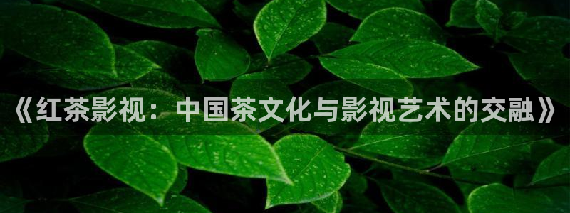 极速影院在线观看免费高清完整版：《红茶影视：中国茶文化与影视艺术的交融》